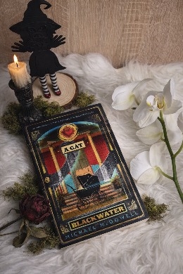 Éppen csak befejeztem az első részt, de nem is volt kérdés, hogy azonnal folytatom a sorozatot, mert ez tipikusan egy olyan sötét, mély történet, ami egy az egyben beszippant.
A második kötet középpo