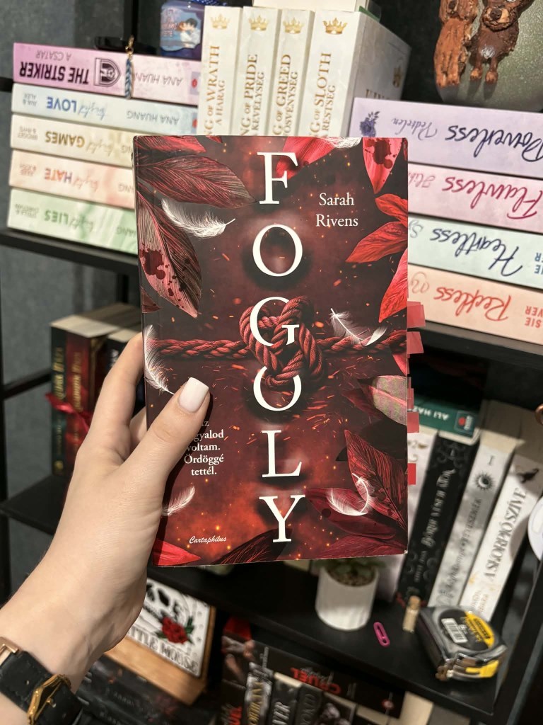 Szóval… még mindig nem tértem magamhoz. Tegnap sikerült befejeznem ezt a csodás könyvet, és teljesen új értelmet nyert számomra a dark romance műfaj.
Mindig is szerettem ezt a zsánert, így nem volt k