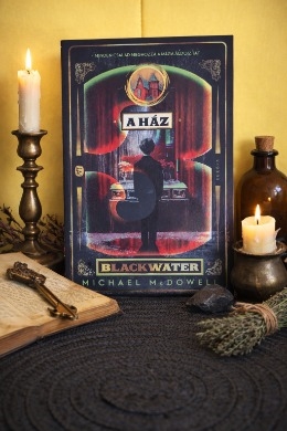 Továbbra is imádom ezt az 1930-as évekbeli nagy gazdasági világválság idején, Alabamában, pontosabban azon belül is egy kisvárosban,  Perdidoban játszódó bizarr csaladtörténetet. 
A ház pontosan azt h