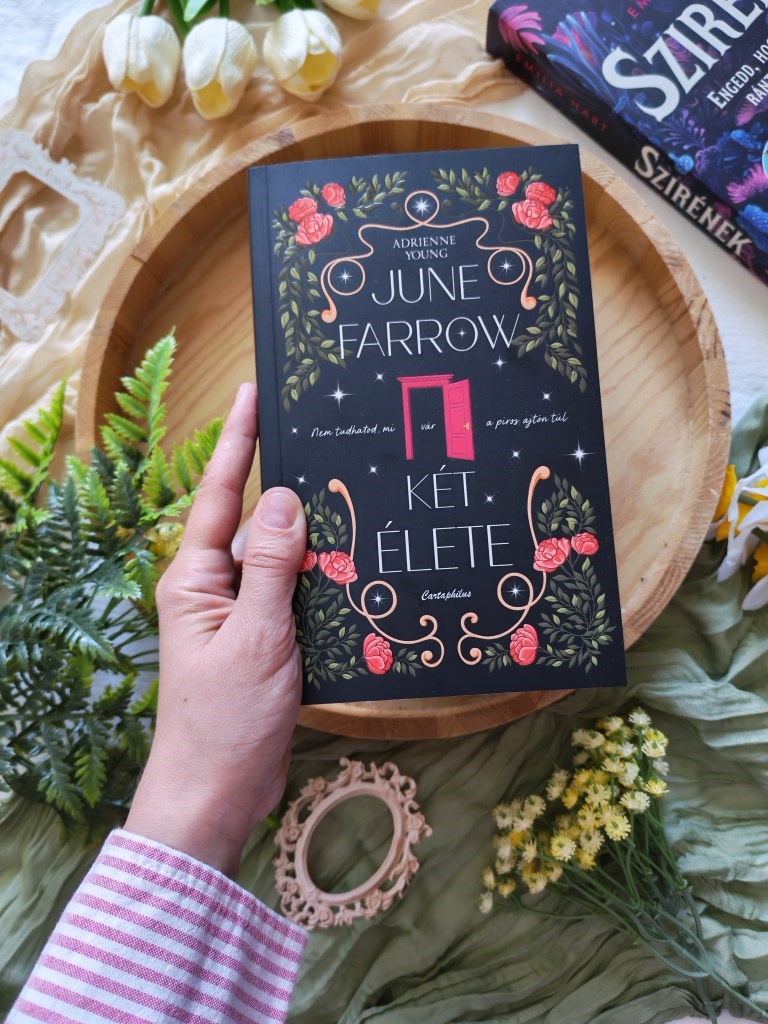 Van egy pont, ahol a múlt és a jövő összeér… és ott kezdődik June Farrow története.
Vannak könyvek, amik csak jók, és vannak azok, amik megérintenek.
Ez pont az a fajta. Egy piros ajtó, egy családi át