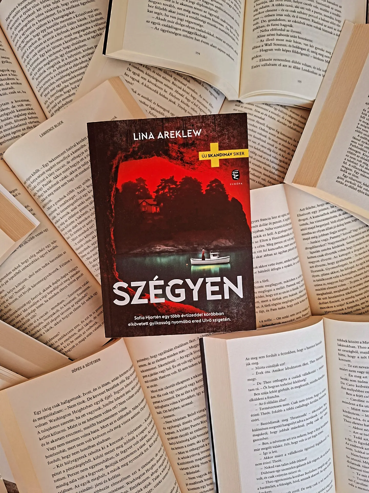 Bevallom, csak olvasás közben jöttem rá, hogy ez egy sorozat harmadik része.