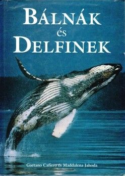 Bálnák és delfinek Bálnák és delfinek