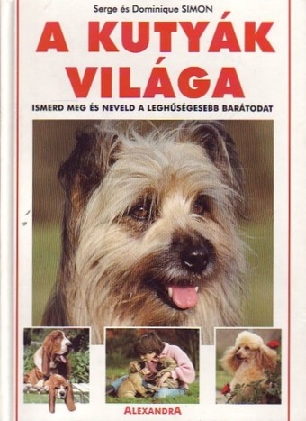 A kutyák világa